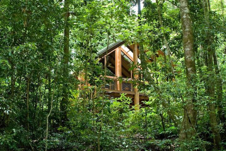 The Canopy Rainforest Treehouses And Wildlife Sanctuary - thumb 1