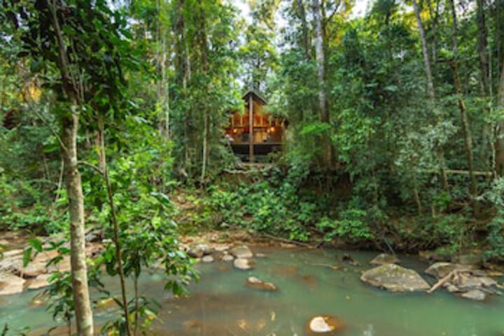The Canopy Rainforest Treehouses And Wildlife Sanctuary - thumb 0