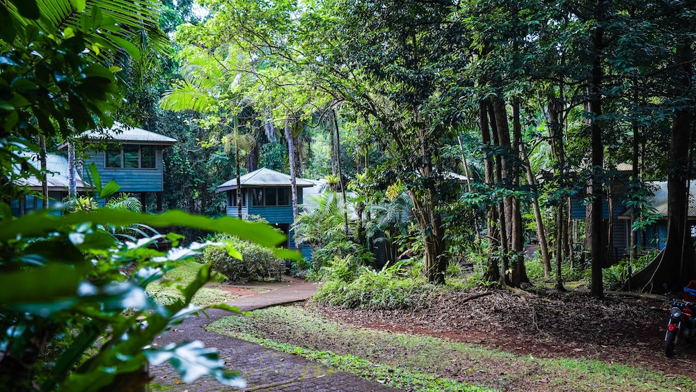 Ferntree Rainforest Lodge - thumb 0