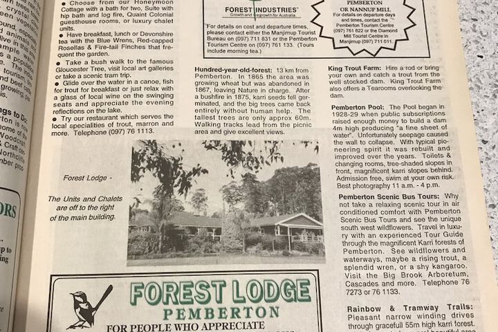 Forest Lodge Resort - thumb 3