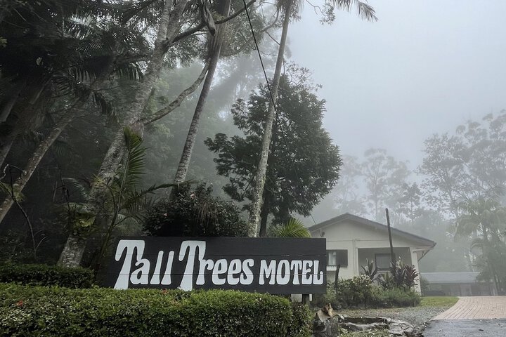 Tall Trees Motel - thumb 4