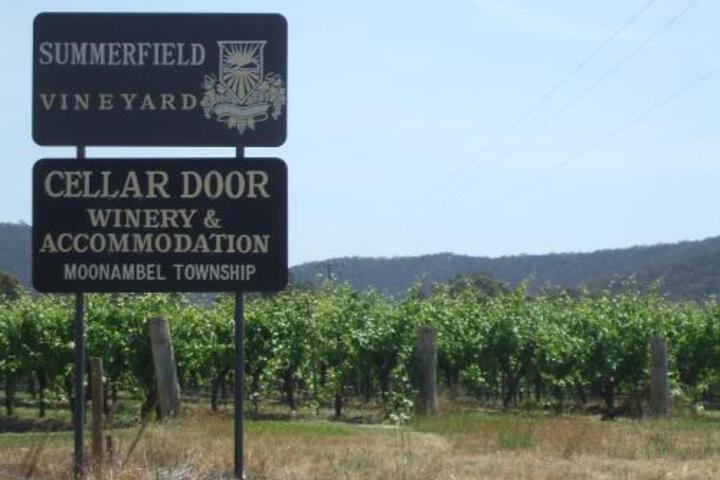 Summerfield Winery & Accommodation - thumb 3