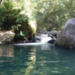 Daintree Secrets Rainforest Sanctuary - thumb 0