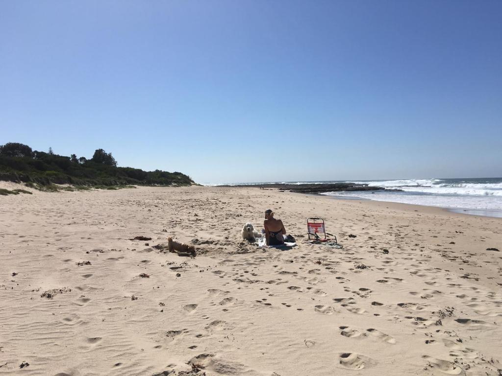 SHELLHARBOUR BEACH COTTAGE 1 Minute Walk To Beach Flags In Summer - thumb 1