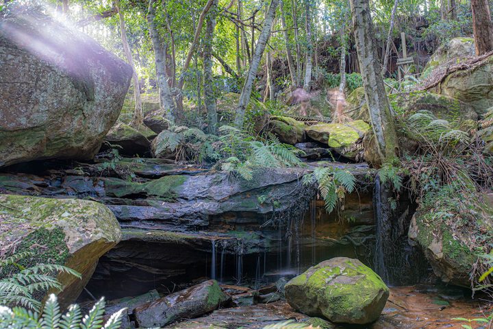 Waterfall Springs Retreat And Wildlife Sanctuary - thumb 3
