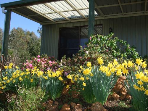 Nannup Riverview Cottage - thumb 0