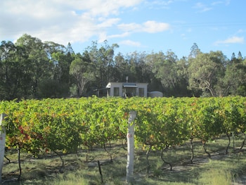 Just Red Wines Vineyard Cabins - thumb 5