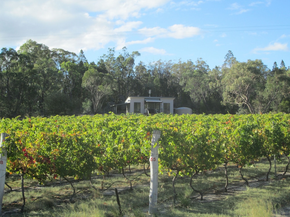 Just Red Wines Vineyard Cabins - thumb 6