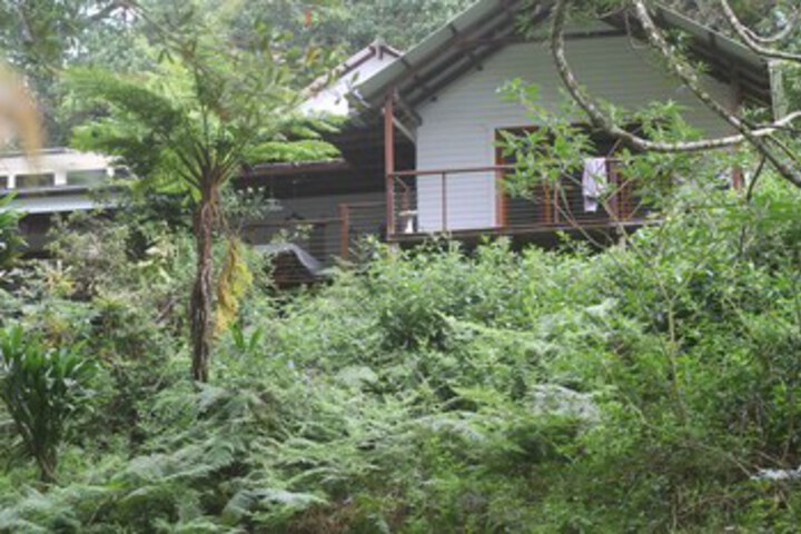 Peaceful Rainforest Wildlife Retreat - thumb 3