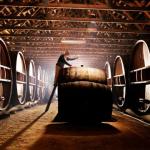 Pieter Van Gent Winery & Vineyard - thumb 0
