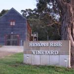 Herons Rise Vineyard Accommodation - thumb 0