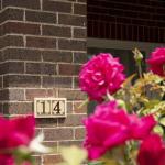 Rose Cottage Charming Double Brick Near Cook Park & CBD - thumb 1