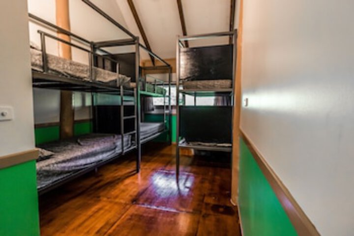 Jackaroo Treehouse Mission Beach - Accommodation Redcliffe