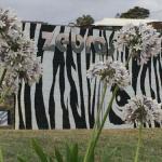 Zebras Guest House - thumb 0