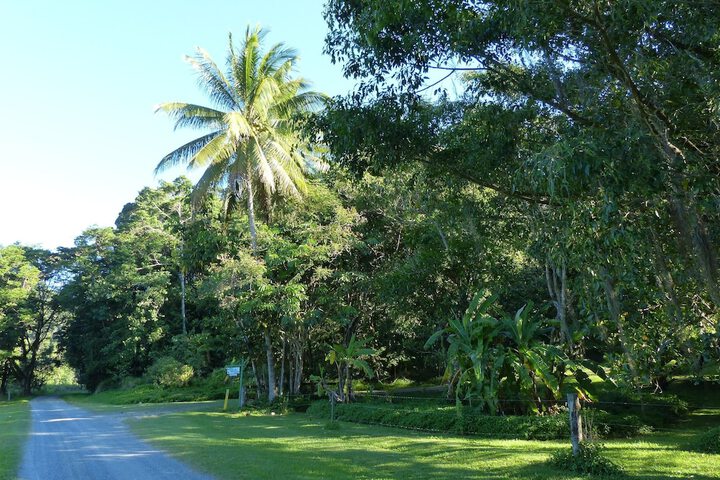 Daintree Valley Haven - thumb 1