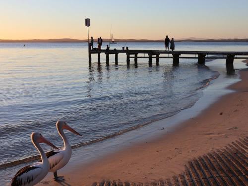 12 Ocean Shores 27 Weatherly Cl Waterfront Unit With Sensational Water Views WIFI & Air Conditioning - thumb 5