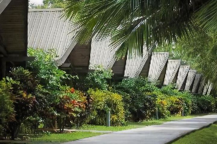 Hamilton Island Palm Bungalow Hotel Whitsundays - thumb 4