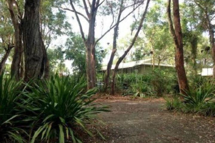 Port Stephens Koala Sanctuary - thumb 2