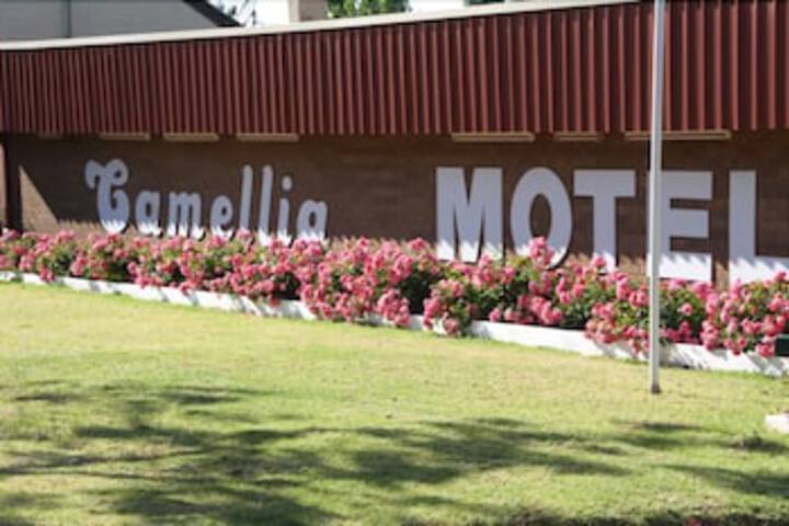 Camellia Motel - thumb 1