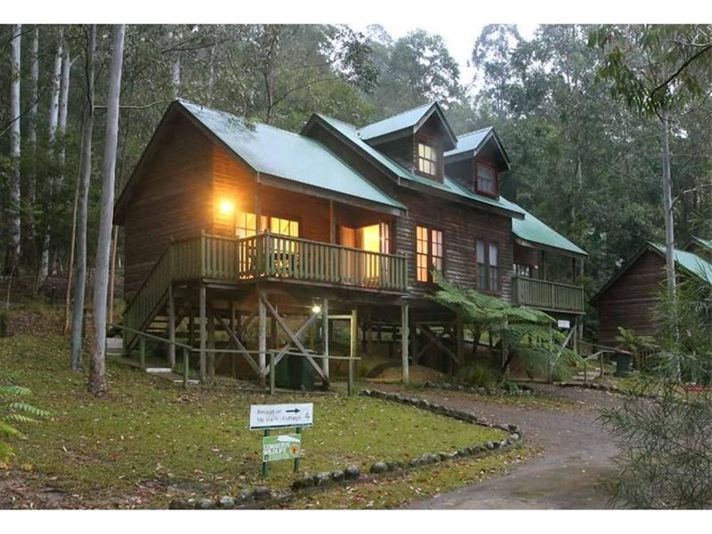 Barrington Wilderness Cedar Lodge Accommodation - thumb 1