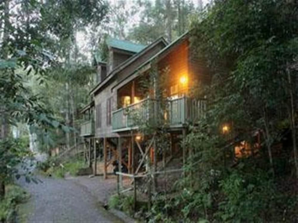 Barrington Wilderness Cedar Lodge Accommodation - thumb 2