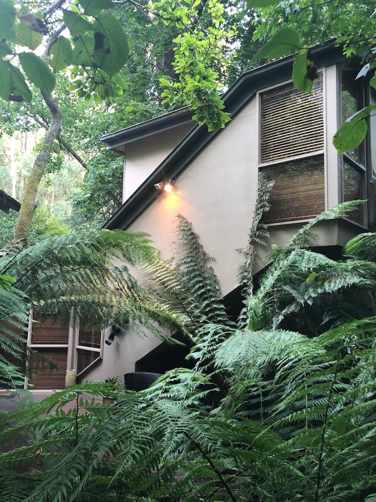 Linden Gardens Rainforest Retreat - thumb 2