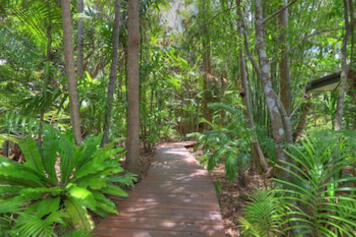 Montville Grove - Redcliffe Tourism