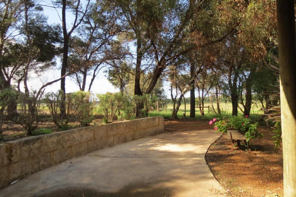 Bentwood Olive Grove Accommodation - thumb 3