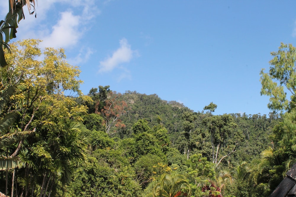 Whitsundays Rainforest Retreat - thumb 5