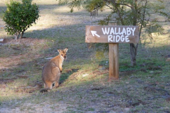 Wallaby Ridge Retreat - Accommodation in Surfers Paradise