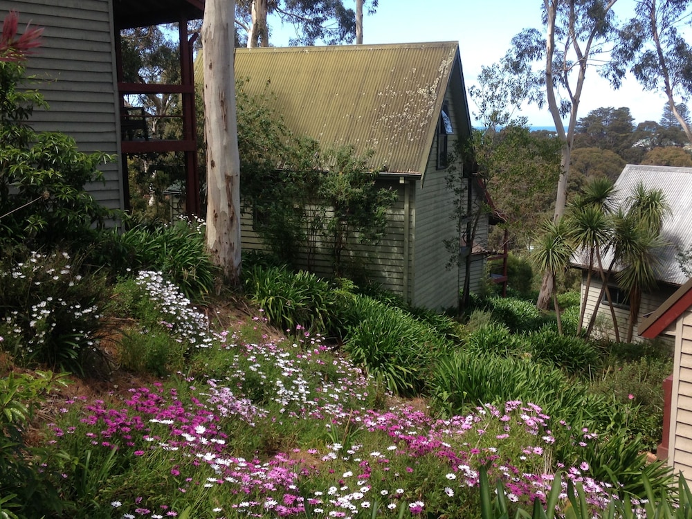 Great Ocean Road Cottages - thumb 2