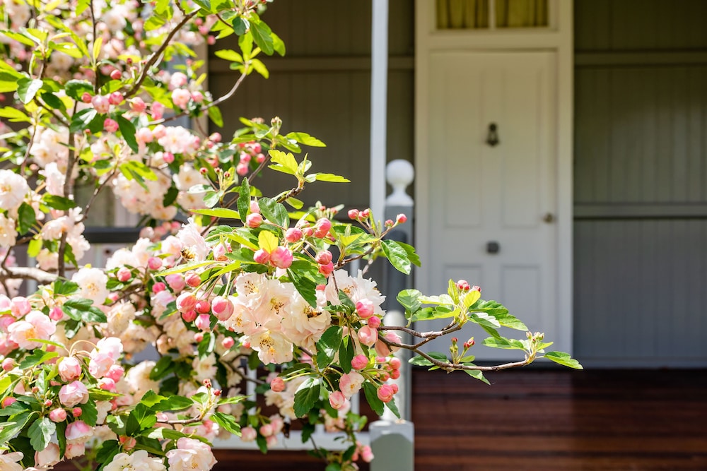 Apple Blossom Cottage - thumb 0