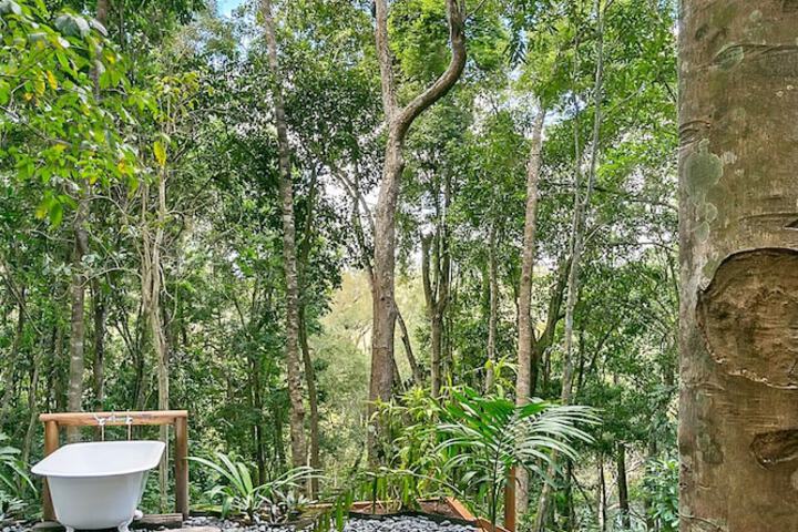 Wanggulay Treetops Cairns City - thumb 7