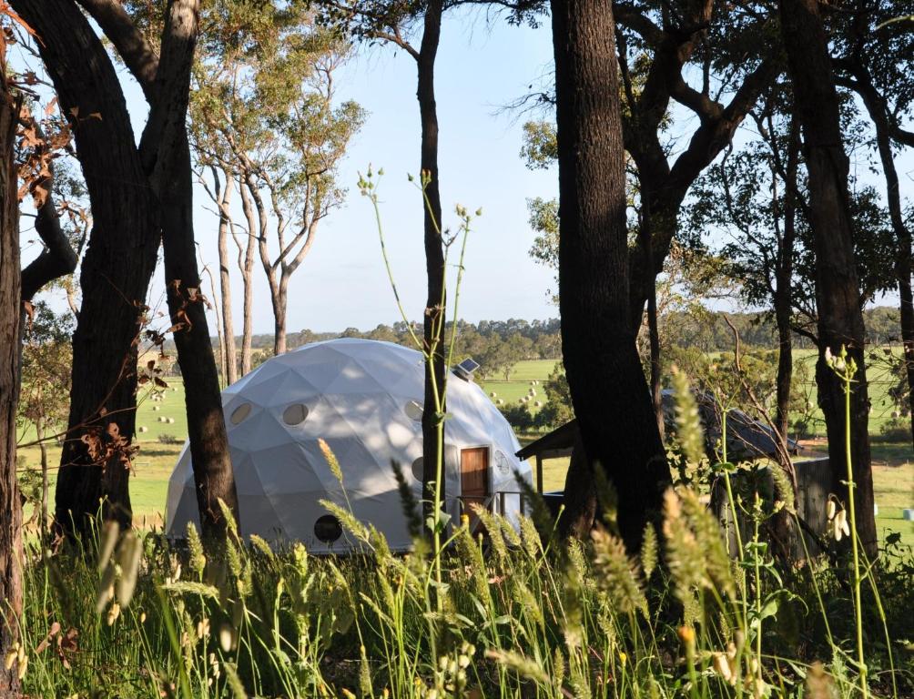 Mile End Glamping Pty Ltd - thumb 2