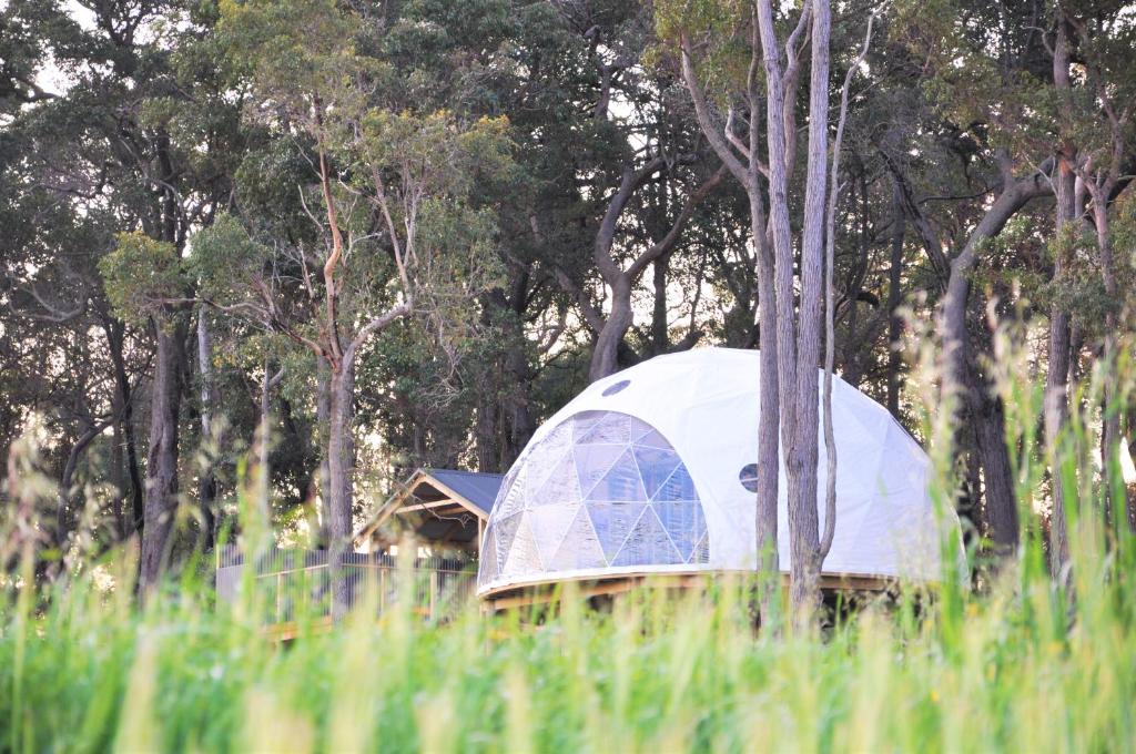 Mile End Glamping Pty Ltd - thumb 1